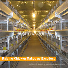 China Chicken Cage Breeding System для продажи